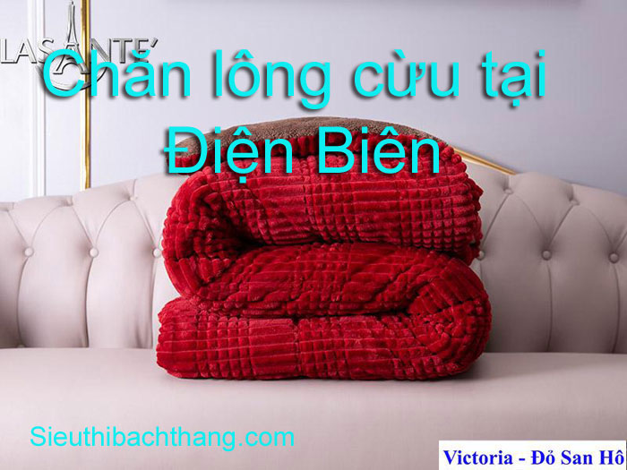 Chăn lông cừu tại điện biênChăn lông cừu tại điện biên