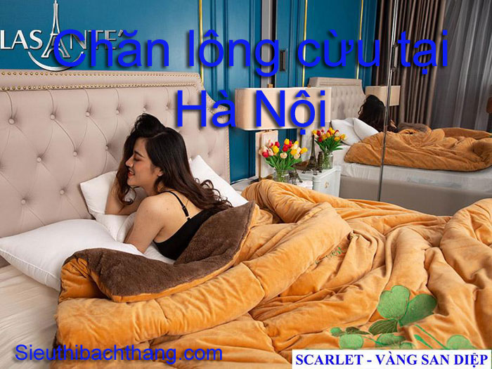 Chăn lông cừu tại hà nội