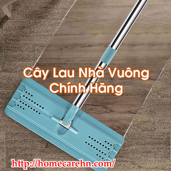 Cây Lau Nhà Vuông