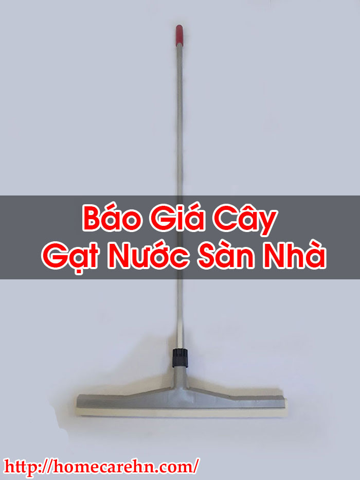 Báo Giá Cây Gạt Nước Sàn