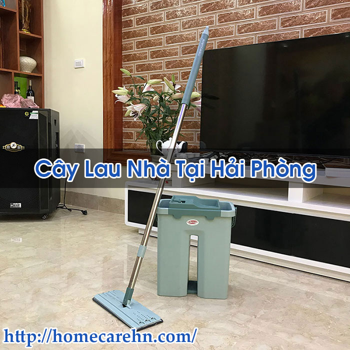 Cây Lau Nhà Tại Hải Phòng