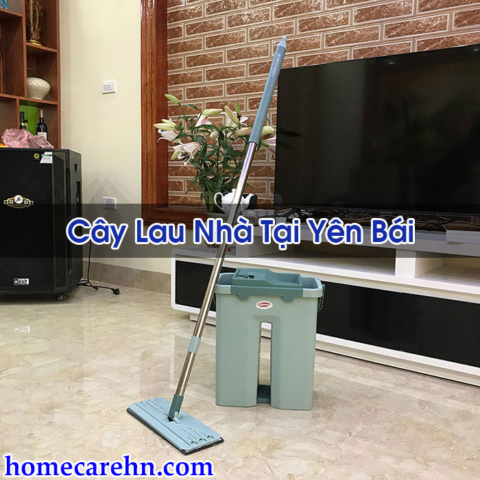 Cây Lau Nhà Tại Yên Bái