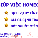 Giới thiệu về dịch vụ giúp việc Homecare Hà Nội