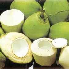 Lựa chọn những trái dừa xiêm bánh tẻ để làm thạch dừa ngon ngọt mát cho mùa hè
