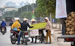 Những người phụ nữ bán hoa quả rong trên đường quốc lộ